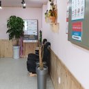 내촌세탁소 이미지