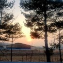 제천유치원 | 설 연휴 제천 반나절 미식 여행 l 두꺼비식당 양푼갈비부터 덩실분식·원조빨간오뎅까지