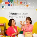 남도에너지 이미지