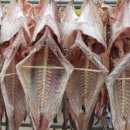 수산농장 이미지