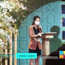 디아팰리스 이미지