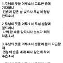 425장. 주님의 뜻을 이루소서 이미지