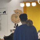 익산 고양이카페 아이캣유 이미지