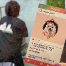 바비펫살롱 이미지