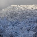 한라산 산행계획(17일06시김포공항2층) 이미지