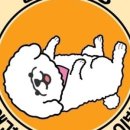똘망똘멍 이미지