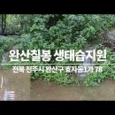 🚵‍♂️ 여름풍경 "전주완산칠봉 생태습지원" 🚵‍♂️ 작은연못 잠자리,개구리 이미지