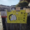 행복여행 게스트하우스 | 황리단길맛집/경주맛집/경주여행/황남거북이/게스트하우스/솔직후기