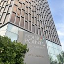 포포인츠 바이 쉐라톤 서울 강남 | [포포인츠 바이 쉐라톤 강남 에볼루션 ] 후기 서울 가성비 뷔페 추천