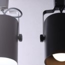 로열 퍼피샵 이미지