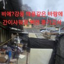 머꼬요