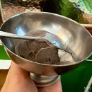노리타 NOLITA 추억의 구프리모바치오바치가 새로 이전한 가성비 좋은 강남역파스타 내돈내산 후기
