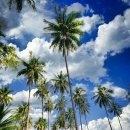 (주) 케이엘글로벌 이미지