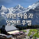 007티켓커피나무 | 뮈렌 통나무 포인트와 알멘트후벨 꽃길 하이킹, 차없는 마을 완벽 가이드