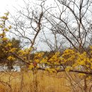 중앙하수처리장 이미지