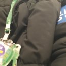 마켓컬리(물류센터) 20대 여자 냉동 포장 &amp; QPS 후기 - 혼컬리, 파트, 풀근무