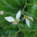 좋은선물 이미지