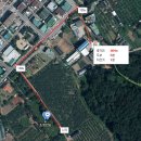 조정만묘 이미지