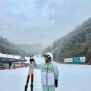월드샵 | 엘리시안강촌 스키장 월드스키 렌탈샵 의류 후기