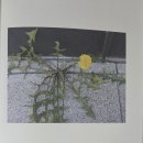 인정머리 - 부산진구 | 인정머리