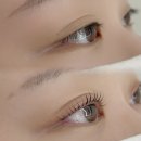 워시랜드강서 | 와이오브로우에서 마곡나루속눈썹펌 속눈썹펌주의사항부터 속눈썹펌주기, 속눈썹펌가격까지