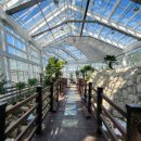 녹색공원 이미지