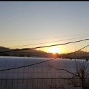 태송농장 이미지