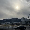 (주)메덱스 | 노잼 그 자체인 1월의 어느 일상