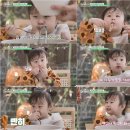 하하푸드 이미지