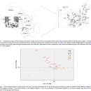 Mitochondrial genome evidence reveals successful Late Paleolithic settlement on the Tibetan Plateau 2009 이미지