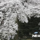 고엔 - 순천시 대석3길 12-7 | 고엔