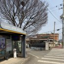 주성농장 | 2026 논산 딸기축제 : 딸기 수확체험 지정농원 : 주성농장 방문후기