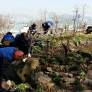 봉래2동-7 이미지