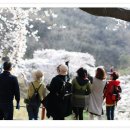 은파호수공원 9-6 이미지