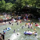 남천1리 솔밭공원 이미지