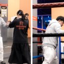 C.M. 복싱 이미지