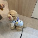 하이뭉하 이미지