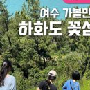 꽃섬해물 이미지