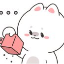 훈이애견 이미지