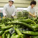 길상유통 이미지