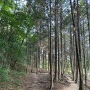 용지로169번길 이미지