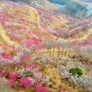 진주실비 이미지