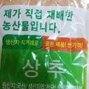 김재성농장 이미지