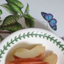 지혜의 사과 이미지