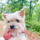 신통방통 동물병원 이미지