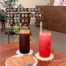 불광설 - 마포구 양화로15길 12 | 불광 신상카페 ‘컾잔’ 후기! 애견 동반 가능 카페로 추천