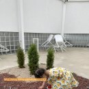 주식회사부성건설 | 천안카페 두정동카페 주식회사구공 서올건설 [서올건설베이커레카페]