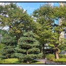 올맘도서관 이미지