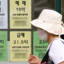 빅공인중개사사무소 이미지