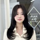 유진헤어샵 네이버블로그